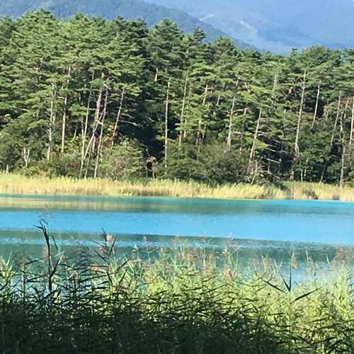 会津の裏磐梯に旅行に行きました
